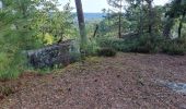 Trail Walking Fontainebleau - T- Bourron - Photo 3