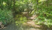 Excursión Senderismo Méounes-lès-Montrieux - Autour de la chapelle de Montrieux - Photo 4