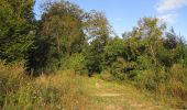 Randonnée Marche Haramont - en forêt de Retz_84_la Laie du Petit Bois d'Haramont - Photo 12