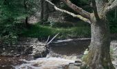 Tour Wandern Theux - neufmarteau . royonpré retour via trou cola  - Photo 9