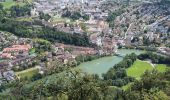 Tour Zu Fuß Wangen bei Olten - Wangen bei Olten - Born - Photo 5