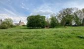 Tocht Stappen Villeselve - Villeselve - Photo 4