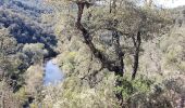 Tocht Stappen Les Arcs-sur-Argens - la forêt des Apiés - Photo 3