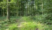 Randonnée Marche Villers-Cotterêts - en forêt de Retz_87_la Laie des Masures par la Route Chrétiennette - Photo 13