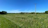 Randonnée Marche Libramont-Chevigny - Bras - Photo 9