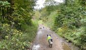 Randonnée Marche Martelange - Dans l’intimité d’une forêt  - Photo 18