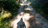 Tocht Stappen Mirabel-et-Blacons - Col de Pourcheton - Photo 1