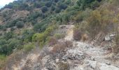 Trail Walking Montesquieu-des-Albères - dans les environs de Montesquieu  - Photo 10