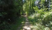 Trail Walking Vascœuil - 20200804-Vascoeuil  - Photo 13