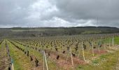 Randonnée Marche Les Riceys - Ricey bois, cadoles et vignes 13 km - Photo 4