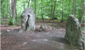 Tocht Hybride fiets Pont-Sainte-Maxence - balade en halatte 26 mai - Photo 3