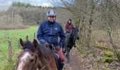 Trail Horseback riding Bastogne - Livarchamps - Photo 5