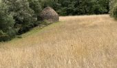 Randonnée Marche Vitrac - Périgord jour 3 - Photo 2