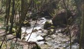 Trail Walking Saint-Vincent-de-Mercuze - Cascades de l'Alloix - Photo 12