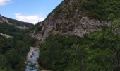 Trail Walking Barret-sur-Méouge - 05 gorges meouge 03.08.23. semi aquatique un - Photo 13