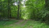 Excursión A pie Compiègne - en forêt de Compiègne_34_autour du Buissonnet et du Berne - Photo 18