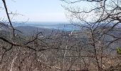 Trail Walking La Garde-Freinet - LA GARDE FREINET - PATRIMOINE DES MOULINS ET CHAPELLES - Photo 19