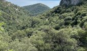 Trail Horseback riding Lauris - Provence 2025 J1 - Photo 3