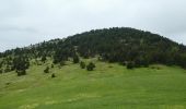 Randonnée Marche Châtillon-en-Diois - Montagne de Beaupuy - Nonnières - Photo 18