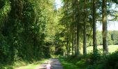 Tour Zu Fuß Clavier - WandArdNat 14:Pailhe, een bosreservaat op een heuvel (PVDB) - Photo 13