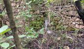 Excursión Senderismo Conqueyrac - Les jumelles de Monoblet  - Photo 3