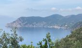 Tour Wandern Vernazza - Corniglia Monterosso  - Photo 12