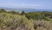 Trail Walking La Ciotat - Arche de la Ciotat  - Photo 2