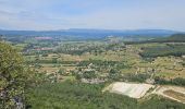 Excursión Senderismo Ollioules - Gros Cerveau - Ollioules - Photo 15