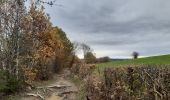 Trail Walking Sprimont - florzé . redoute .  sur la heid . brassine . aywaille . chateau ambleve . totale.  rouvreux . florzé  - Photo 11