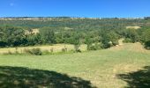 Trail Walking Ordonnaz - Ordonnaz  - Photo 6