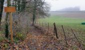 Tour Wandern Chaumont-Gistoux - Corroy - Photo 2