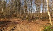 Tour Zu Fuß Vieux-Moulin - en forêt de Compiègne_23_la Grotte des Ramoneurs_le Mont Berny - Photo 8