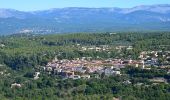 Excursión Senderismo Roquebrune-sur-Argens - La Bouverie - Bayonne - La Forteresse - Col Pierre du Coucou - Forêt de Raphèle - Photo 4