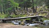 Tocht Stappen Entraunes - Estenc - Circuit de la Sanguinière - Photo 1