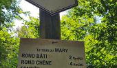 Randonnée Marche Esneux - Esneux - Parc du Mary - Photo 3