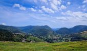 Randonnée Marche Bussang - Trek alsacien (boucle rochelotte) - Photo 17