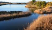 Randonnée Marche Fréjus - Etangs des Esclamandes et de Villepey - Photo 3