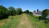 Tocht Stappen Vernou-sur-Brenne - Vernou-sur-Brenne - Jallanges Vouvray Compostelle - 16km 180m 3h40 - 2022 07 06 - Photo 1