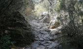 Tour Wandern Laroque-des-Albères - Dolmen - Photo 4