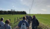 Trail Walking Blegny - Mortier promenade d’automne ensoleillé  - Photo 10