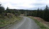 Percorso A piedi South Lakeland - Carron Crag Trail - Photo 3