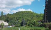 Tour Zu Fuß Wettin-Löbejün - RundwegTannengrund Teufelsgrund Rothenburg - Photo 9