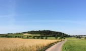 Tour Zu Fuß Wolfhagen - Rundwanderweg Wolfhagen Granerbergweg W3 - Photo 6