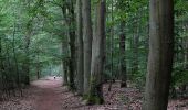 Tour Zu Fuß Königs Wusterhausen - 1. Permanenter Wanderweg Königs Wusterhausen - Photo 8