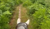 Trail Horseback riding Neufchâteau - Bois d’Ospot depuis les pompiers - Photo 2