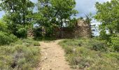 Excursión Senderismo Vernet-les-Bains - Découverte de la Vallée  - Photo 8