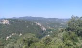 Excursión Senderismo Vallon-Pont-d'Arc - Ardèche - Photo 6