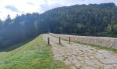 Excursión Senderismo Le Valtin - VOSGES 2023 - Sentier des Roches - Photo 18