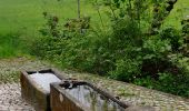 Tocht Stappen Molsheim - Randonnée l'après-midi - Photo 4