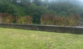 Trail Trail Capesterre-Belle-Eau - Barrage de routiers  - Photo 4